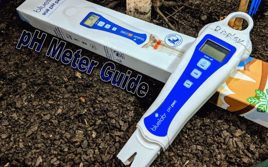 pH Meter Usage Guide