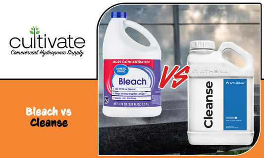 Bleach vs. Cleanse