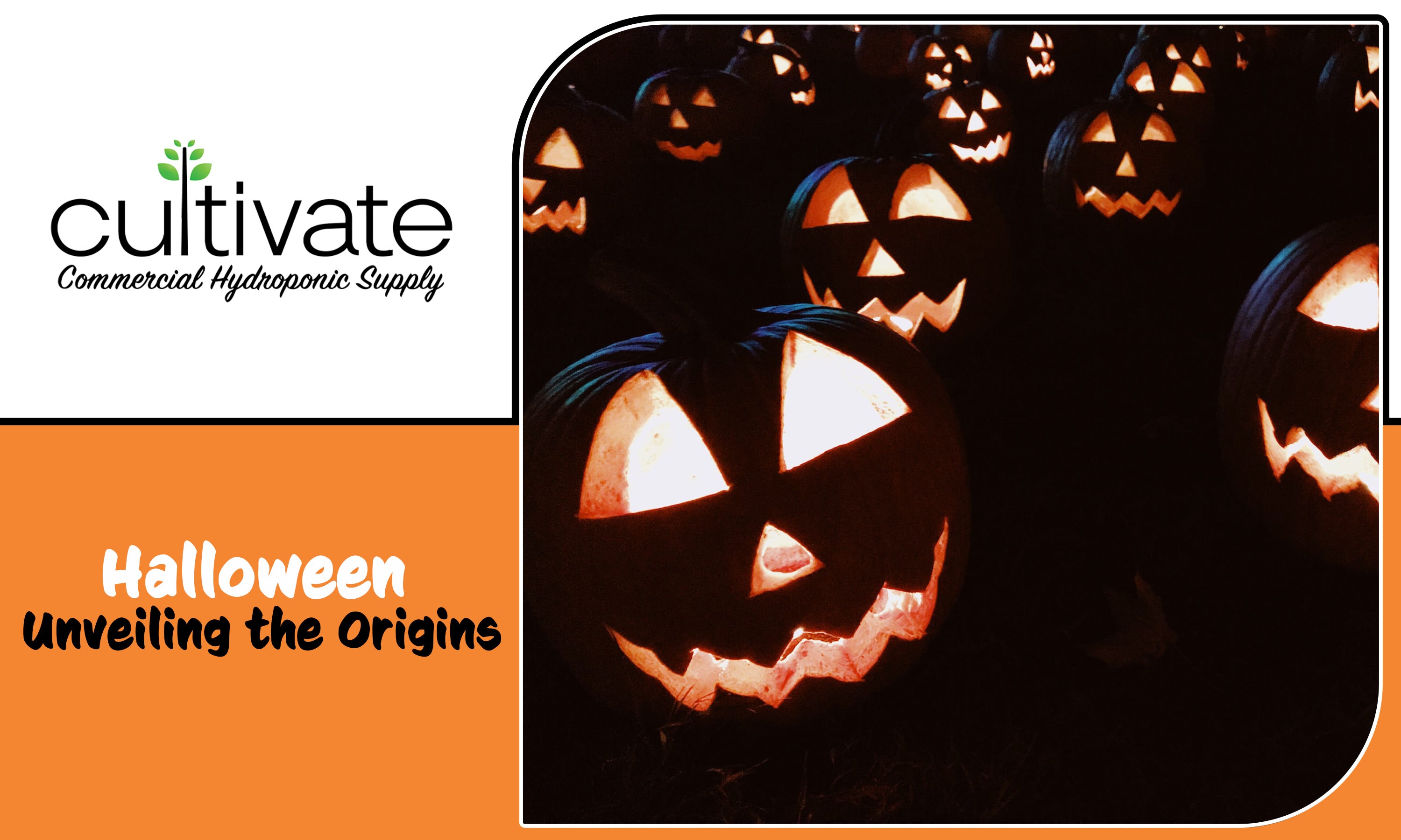 Unveiling the Origins and Interconnections of Halloween, Hallows Eve, – Cultivate Supply