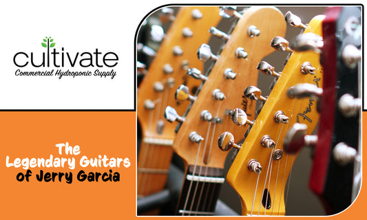 The Legendary Guitars of Jerry Garcia