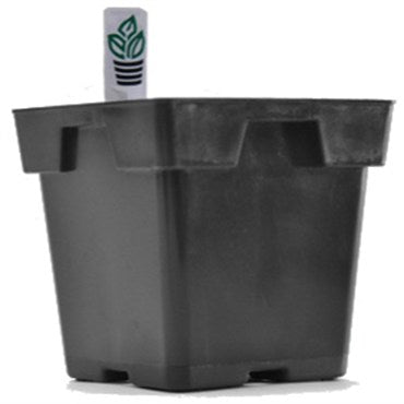 square black plastic plant pots Jumbo Square Pot (1.68 Liter) – Cultivate Supply
