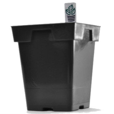 jumbo pots for plants Jumbo SR Square Pot (2 Liter)