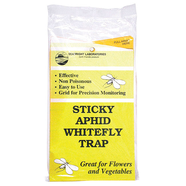 Seabright Laboratories Whitefly Traps (5/Pack)