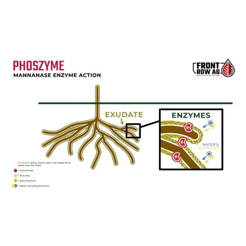 Front Row Ag Phoszyme