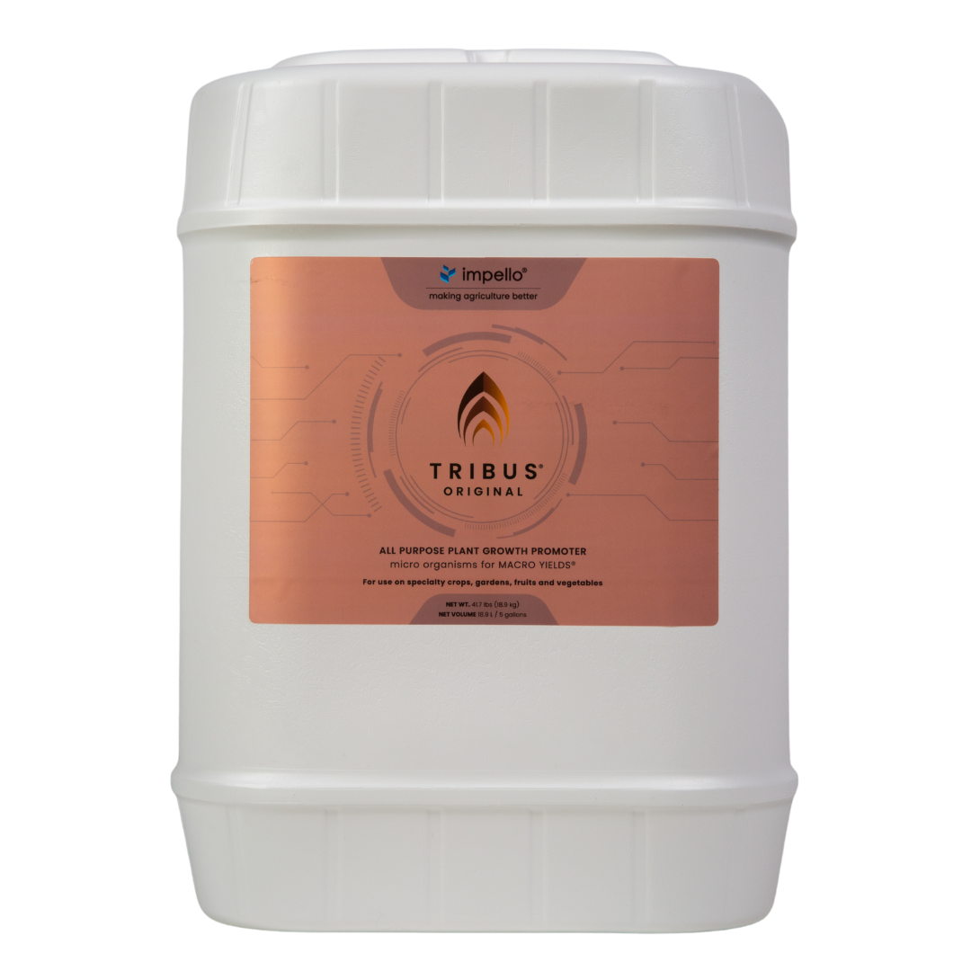 Tribus Original 5 Gallon