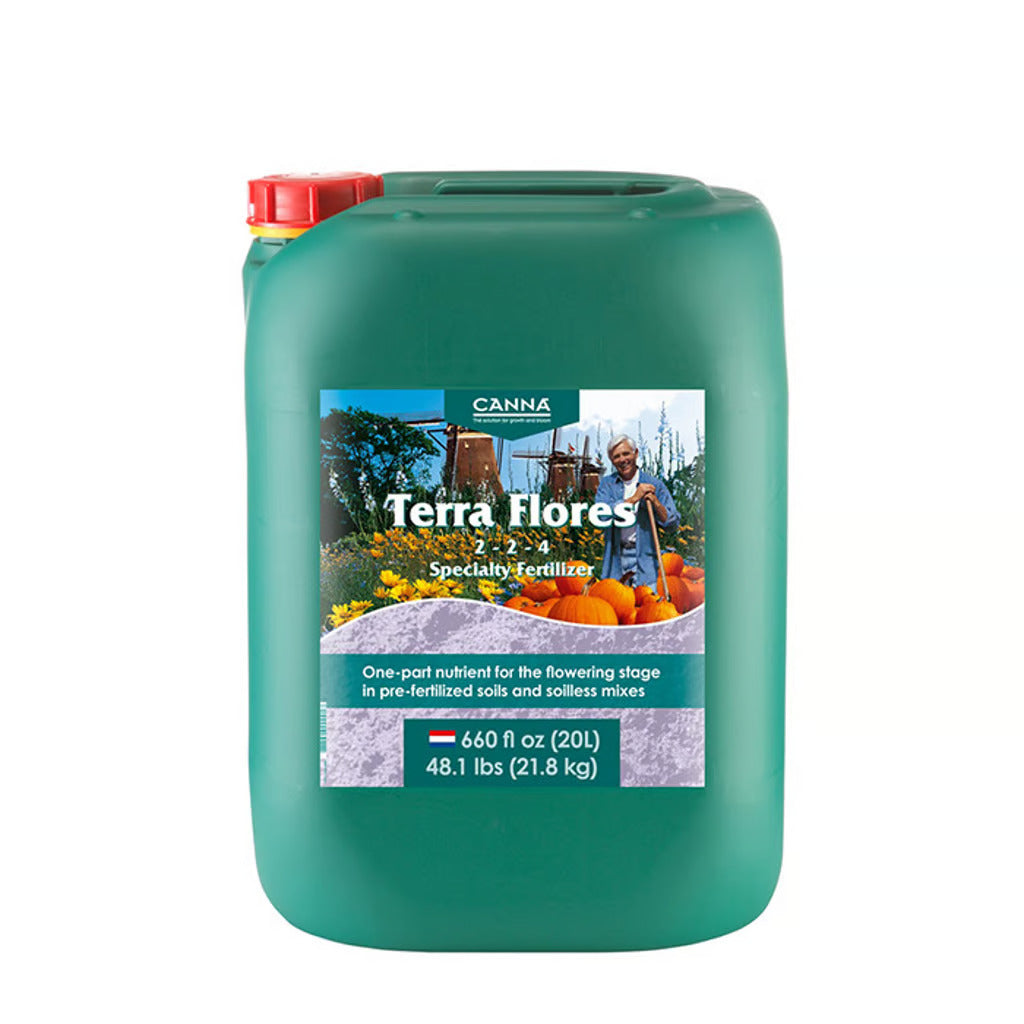Canna Terra Flores