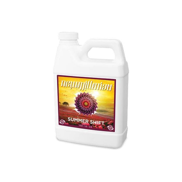 New Millenium Summer Shift