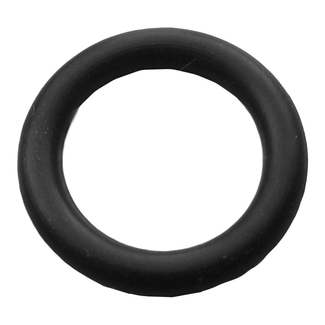 Active Air CO2 Regulator Inlet Washer