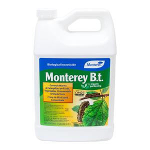 Monterey B.t. Gallon