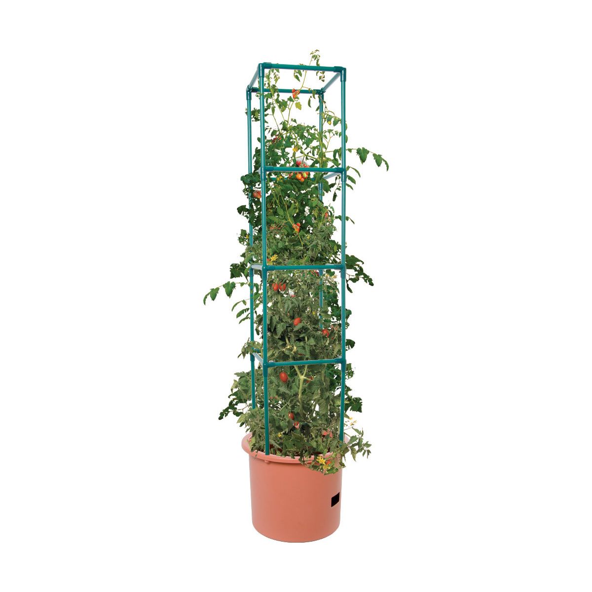 self watering barrel planter Hydrofarm Heavy Duty Tomato Barrel w/Tower – Cultivate Supply