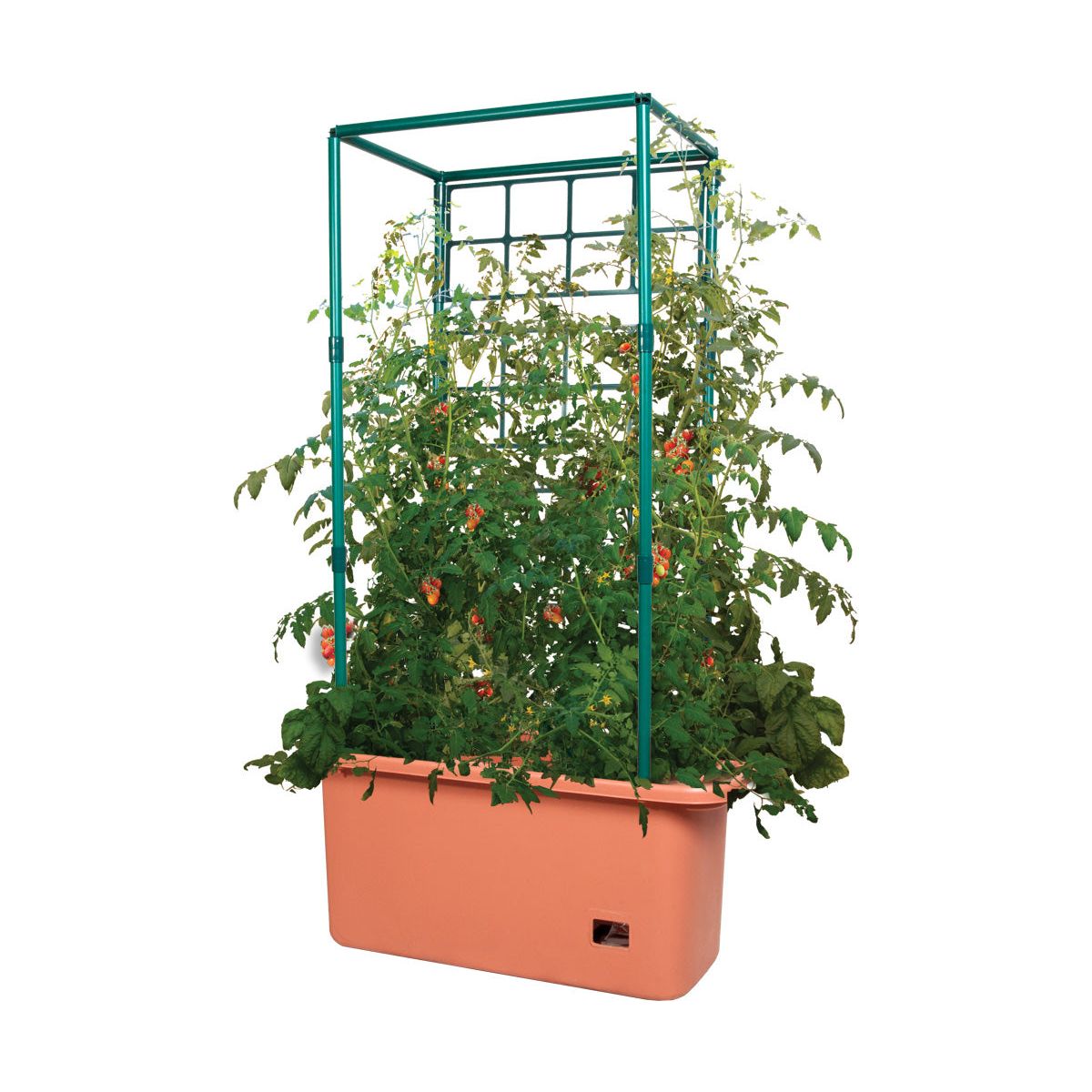 tomato planter trellis Hydrofarm Tomato Trellis Garden on Wheels – Cultivate Supply