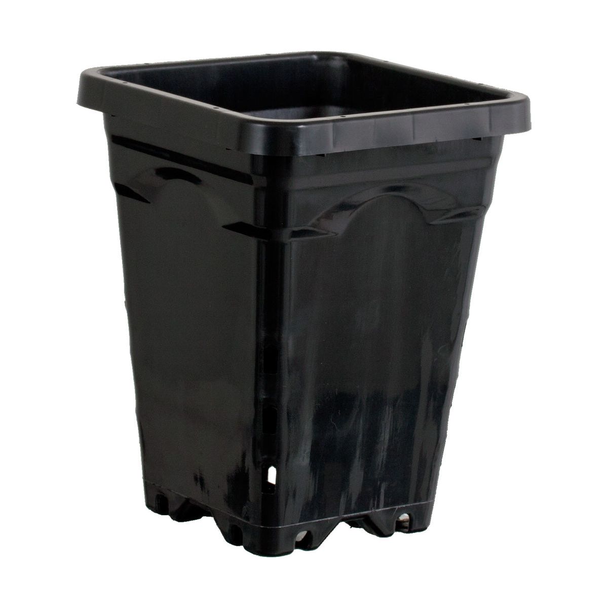 Active Aqua 5"x 5" Square Black Pot 7" Tall