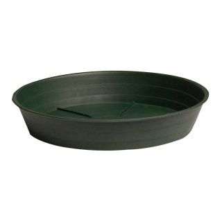 Green Premium Saucers