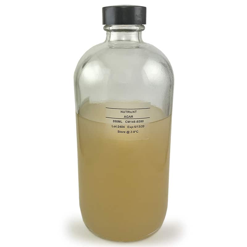 Nutrient Agar (350ml), Mushroom Culture.
