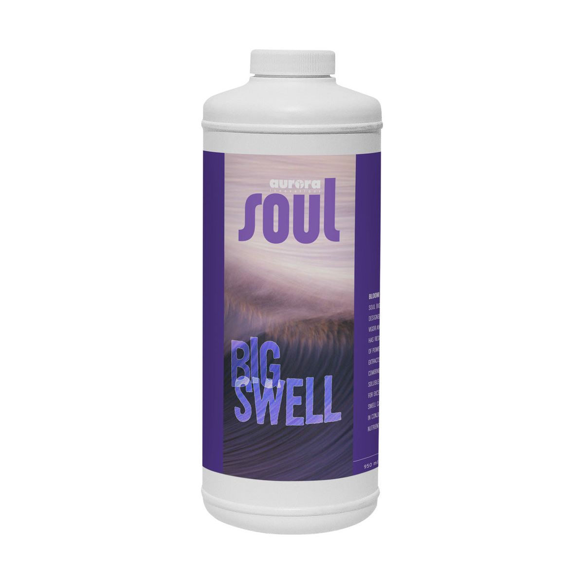Soul Big Swell