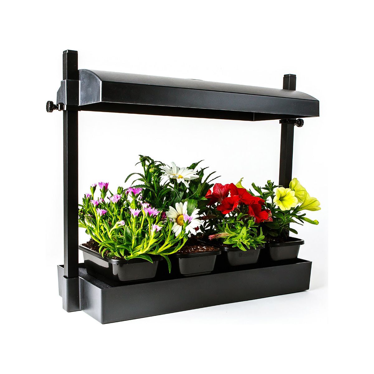 planter with grow light SunBlaster Micro T5 Grow Light Garden