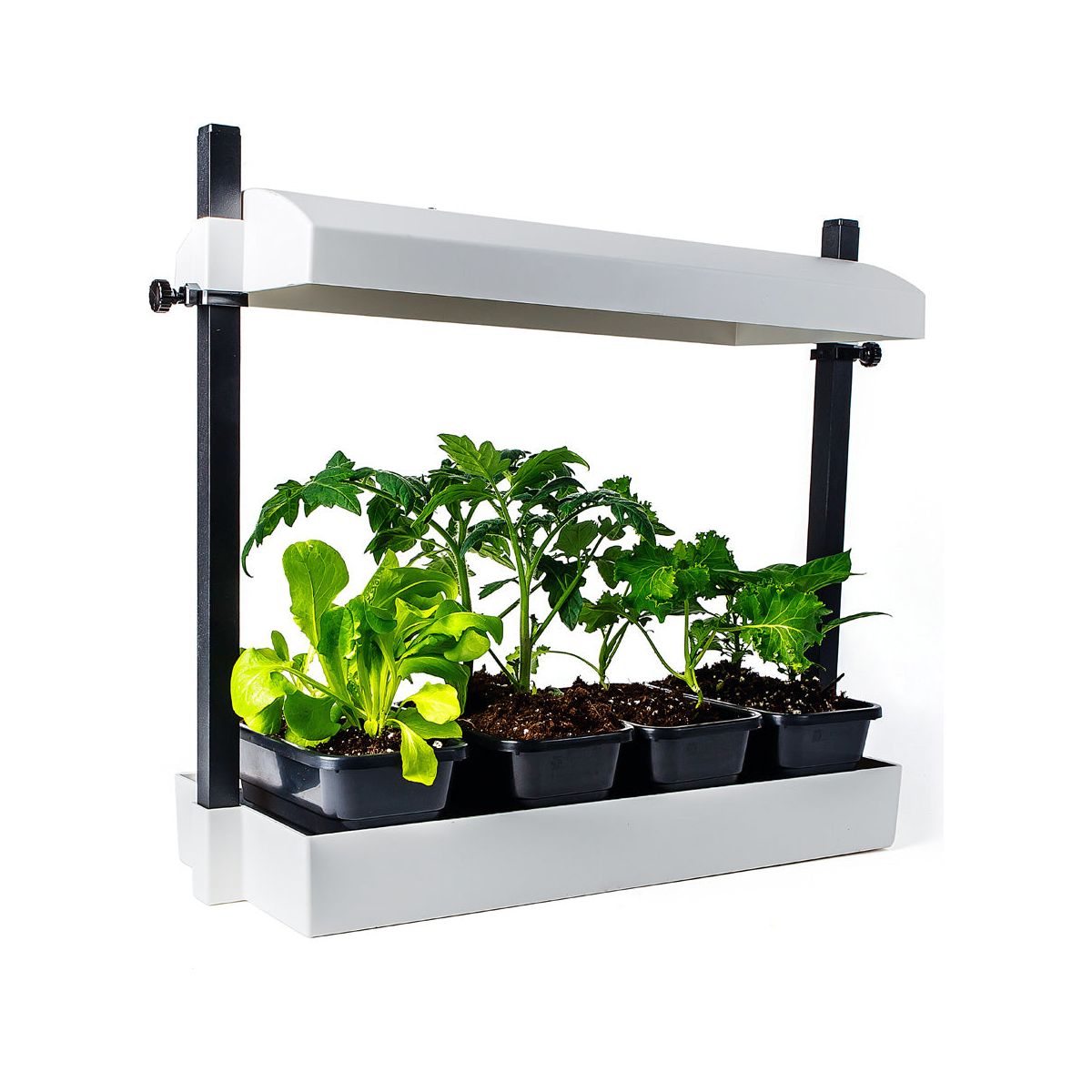t5 lights for growing plants Sunblaster Micro T5 Grow Light Garden White – Cultivate Supply