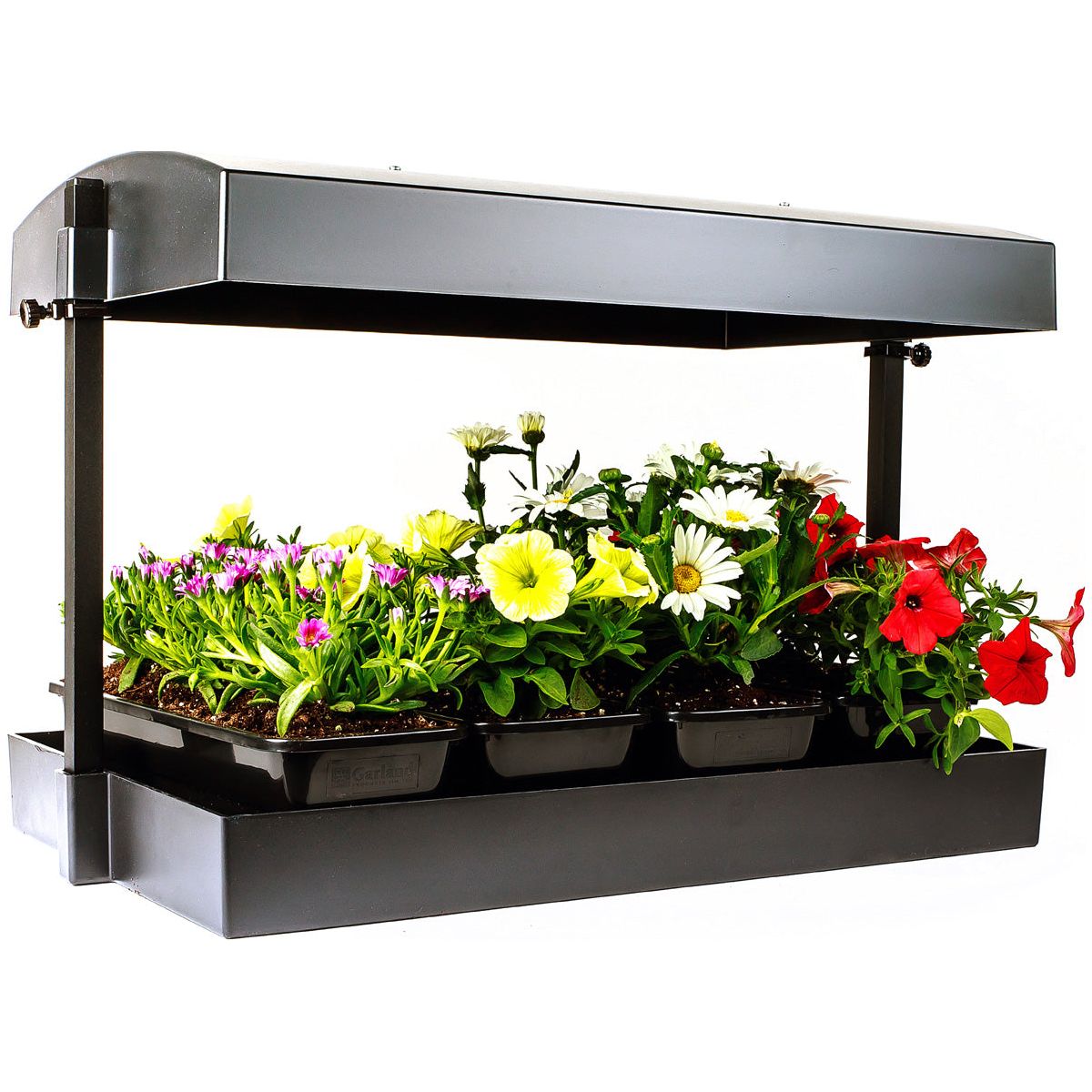 Sunblaster T5 Grow Light Garden Black