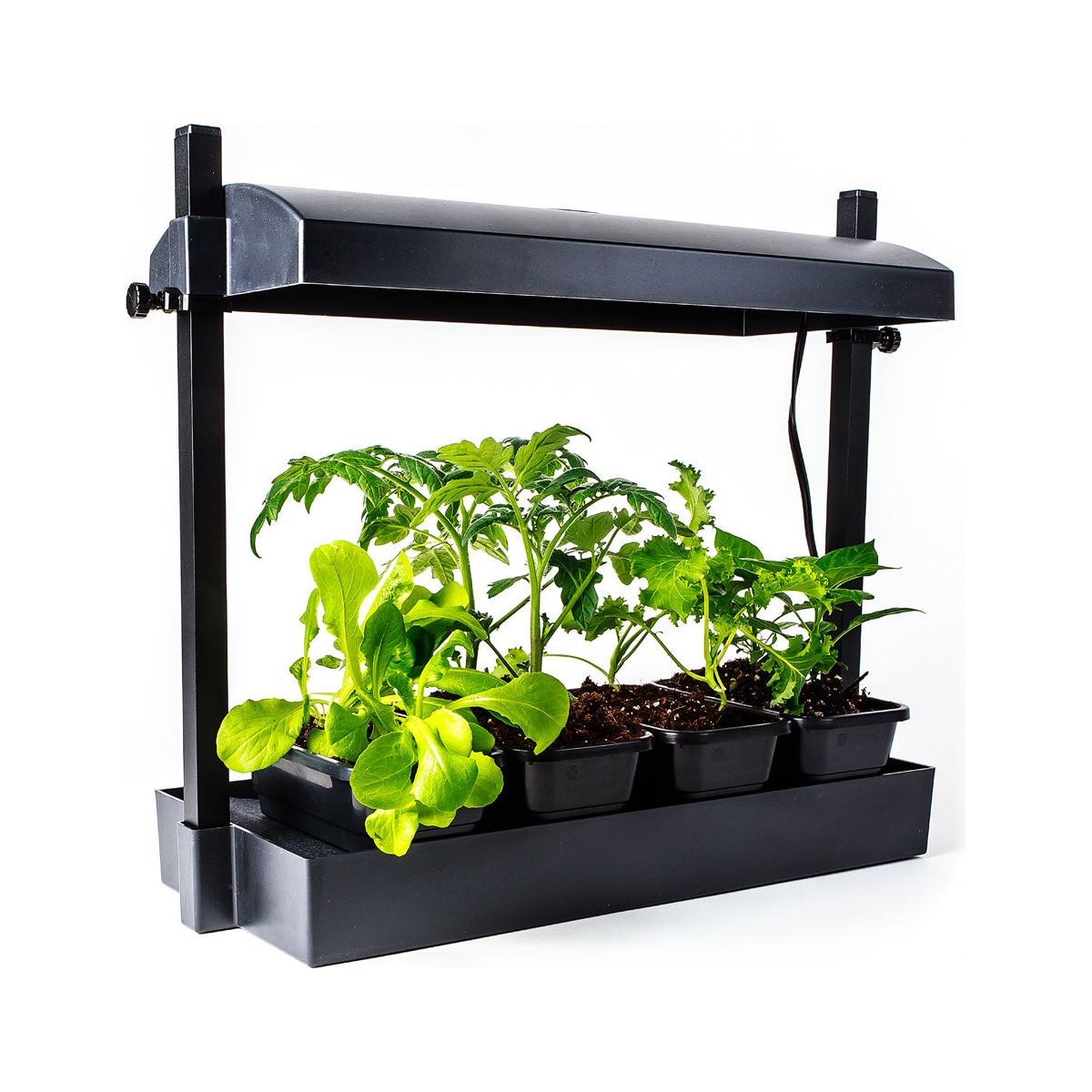Sunblaster Micro LED Grow Light Garden Black