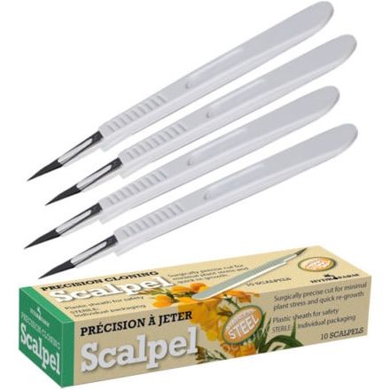 Sterile Disposable Scalpels & Box