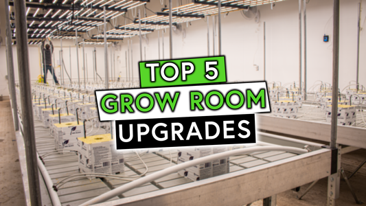 Top 5 Grow Room Upgrades for 2023