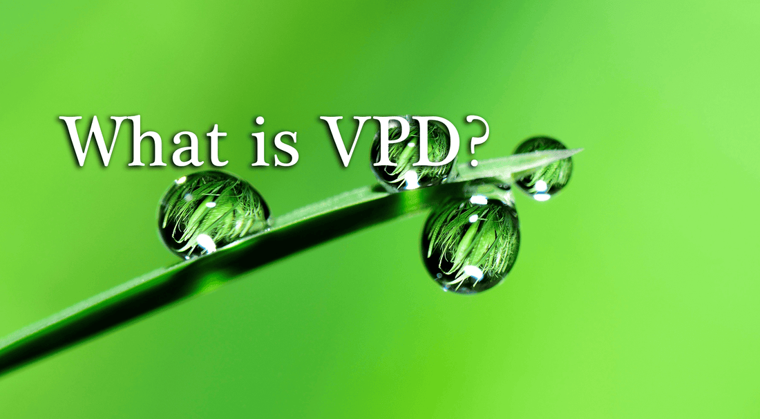 What is VPD? Vapor Pressure Deficit Explained
