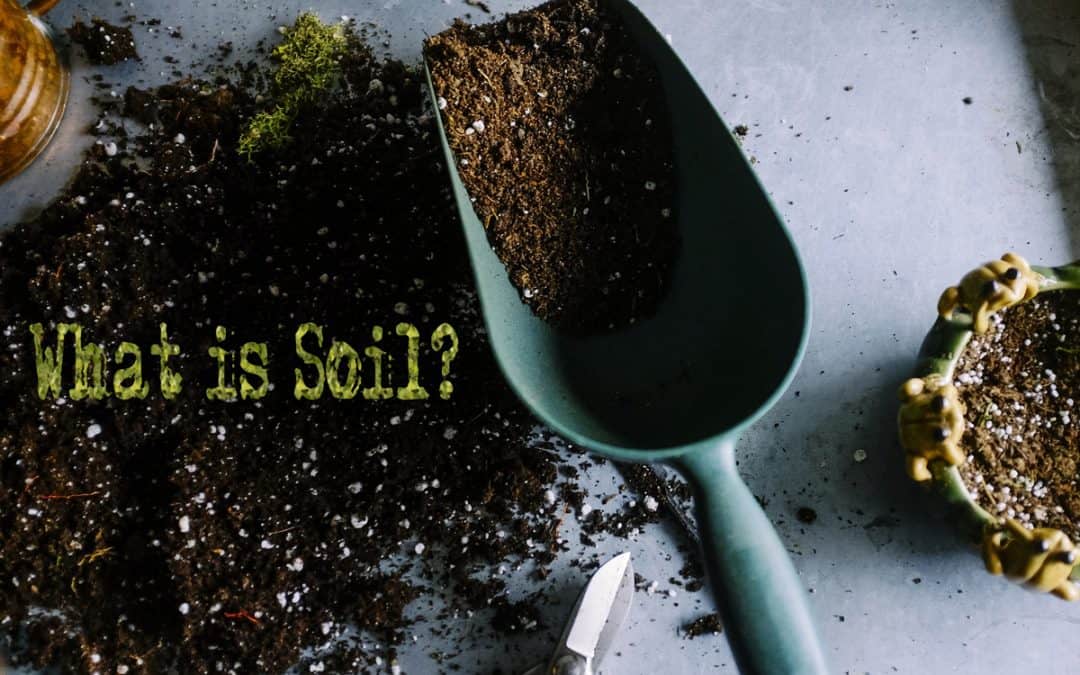 What is Soil: Cultivate Guide