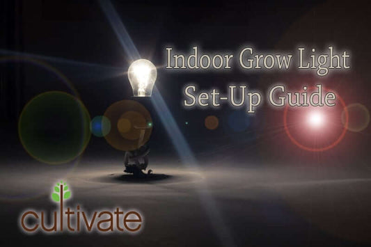 Indoor Grow Light Setup Guide