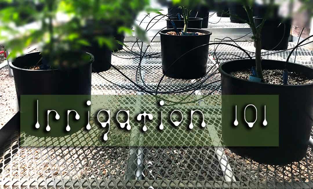 Irrigation 101