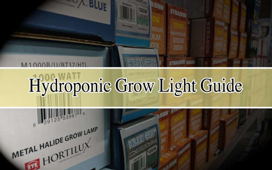 Hydroponic Grow Lights Guide