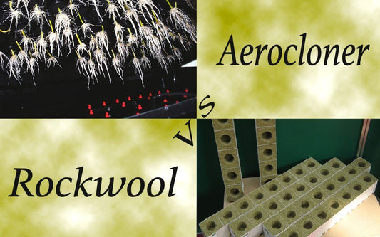 Rockwool vs Aerocloner