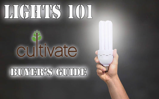 Lights 101: Which should you buy?