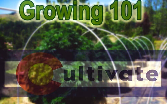 Growing 101 : The Cultivate Guide to Getting Started