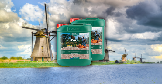 CANNA Coco A & B Nutrient Line: A Revolutionary Way to Fertilize Your Plants