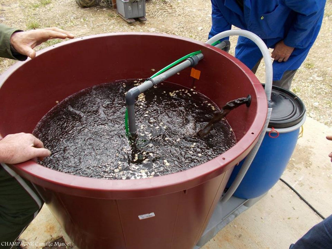 How to Brew your own Compost Tea