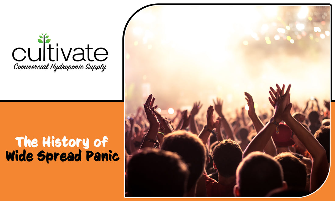Don't Panic! The History of Widespread Panic