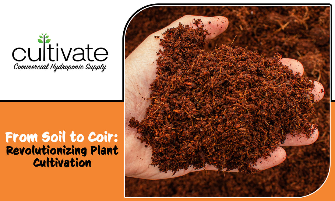 From Soil to Coir: Revolutionizing Plant Cultivation