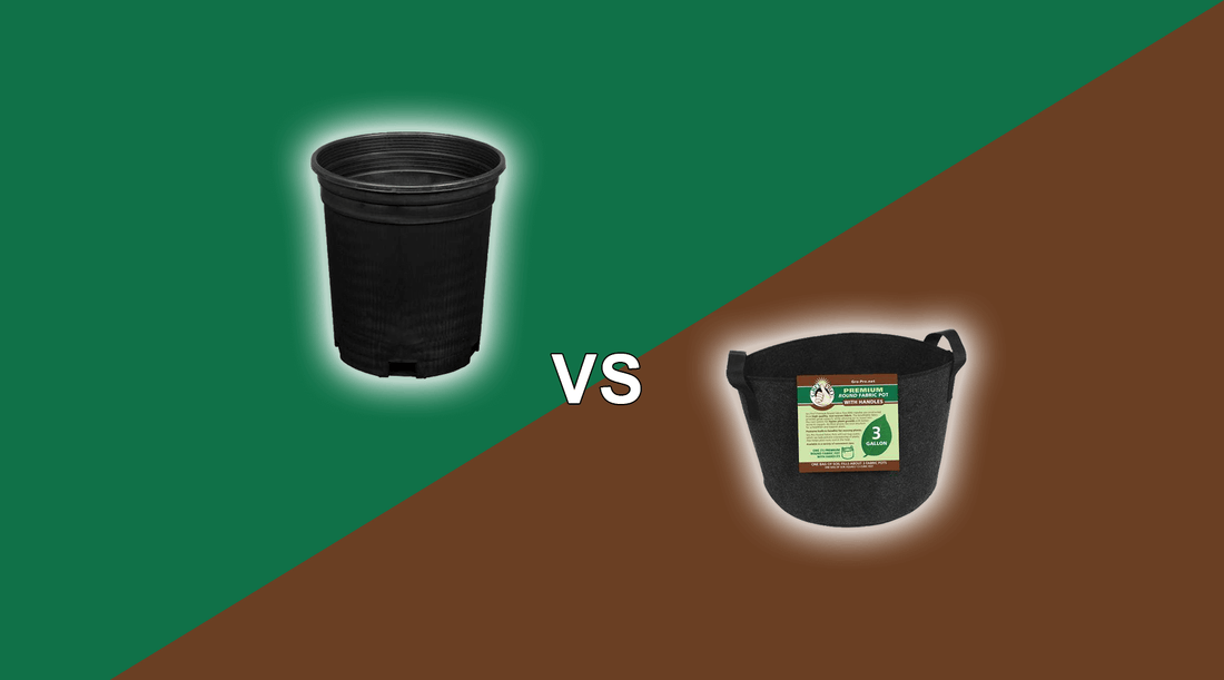 Plastic Pots versus Fabric Pots