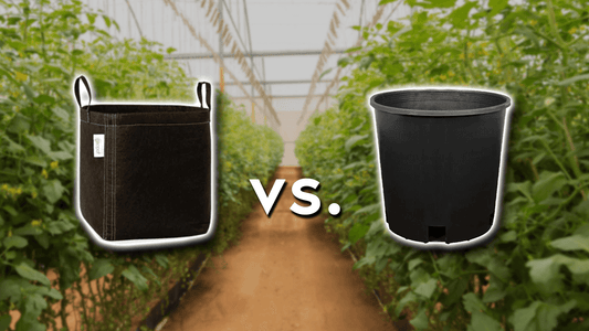 Fabric Pots or Plastic Pots: Which should you choose?