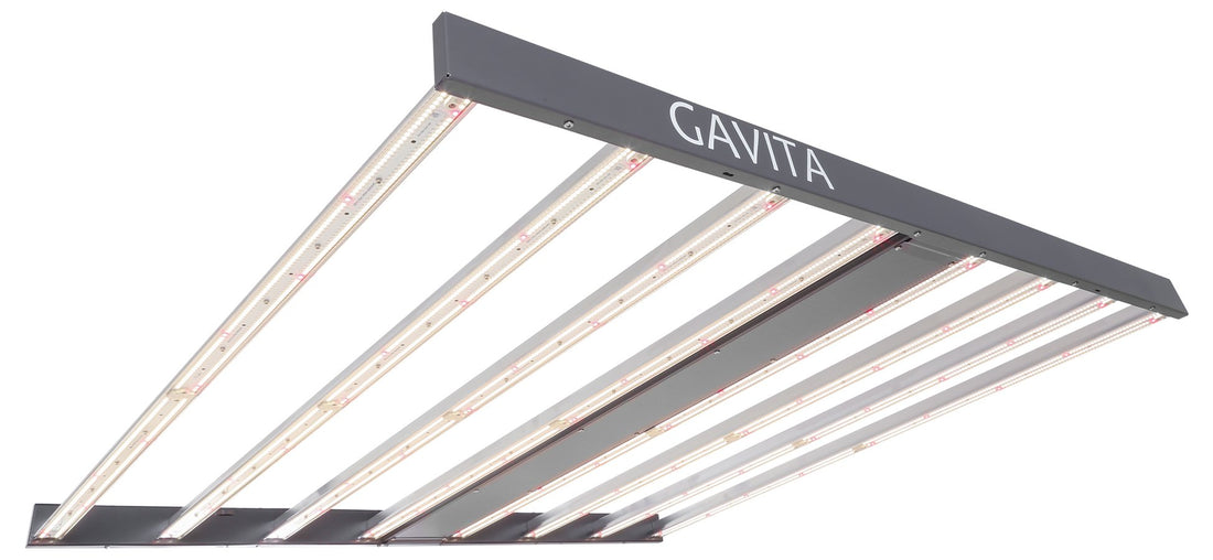 The Rise of LEDs: Gavita LED [Cultivate Product Feature]