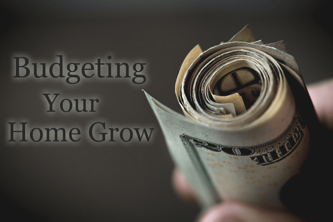 Budgeting Your Home Grow