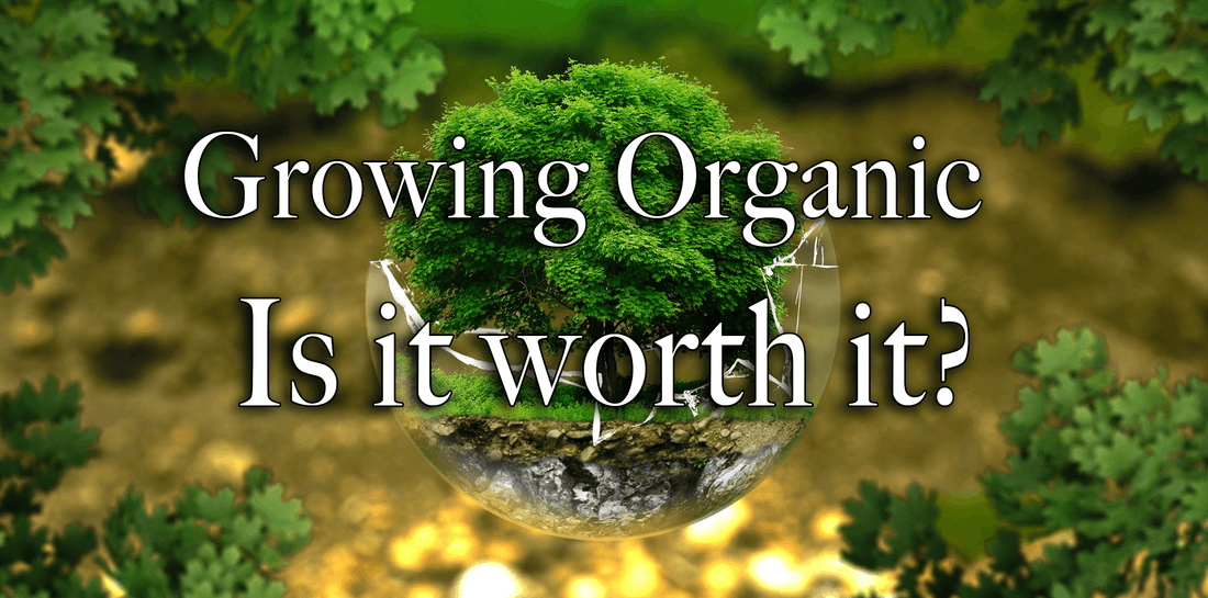 Is Growing Organic Worth It?