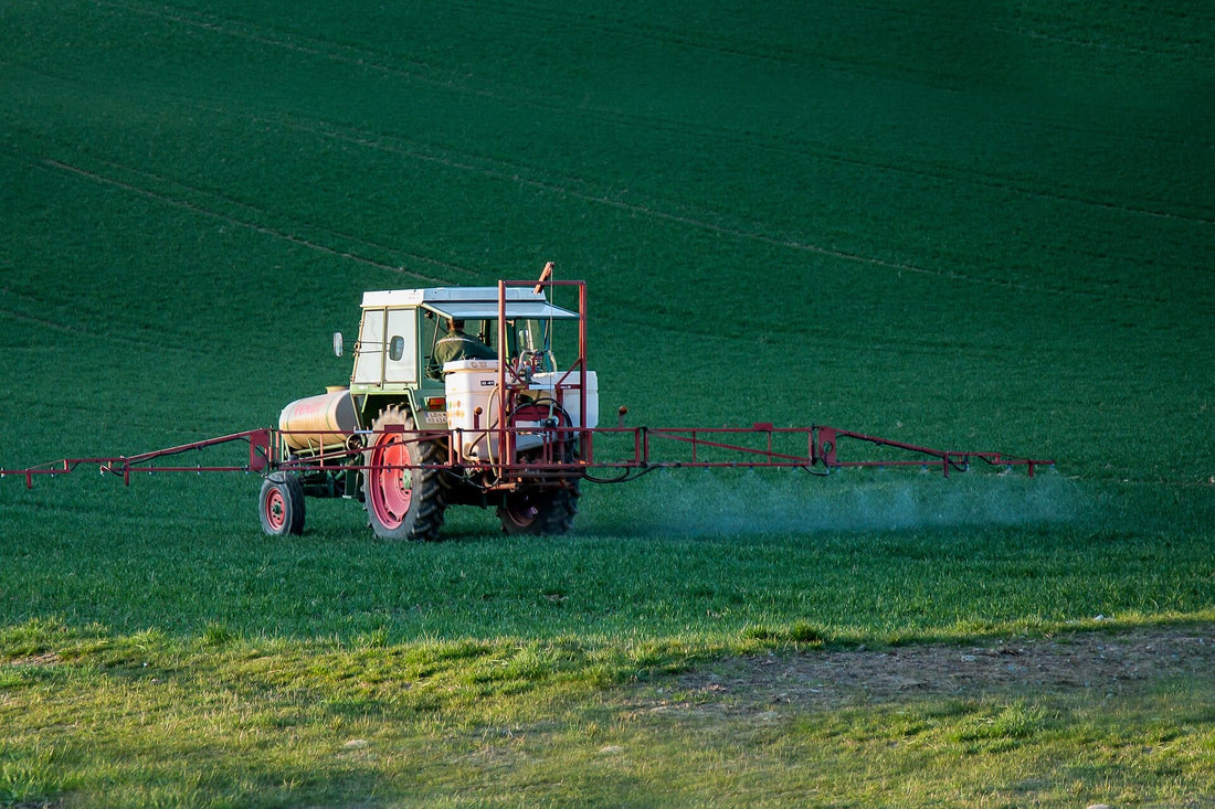How to Choose the Right Pesticide