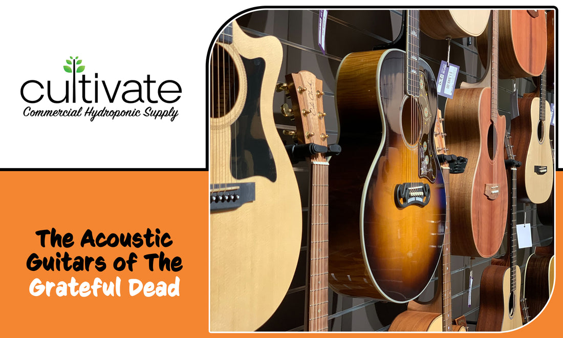 The Acoustic Guitars of The Grateful Dead