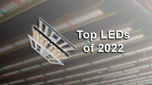 Top 4 LED Grow Lights for 2022