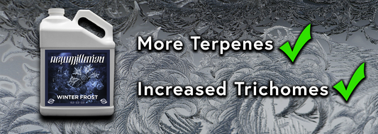 Produce More Terpenes and Increase Trichomes with New Millenium Winter Frost