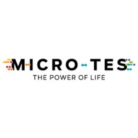 Micro-TES