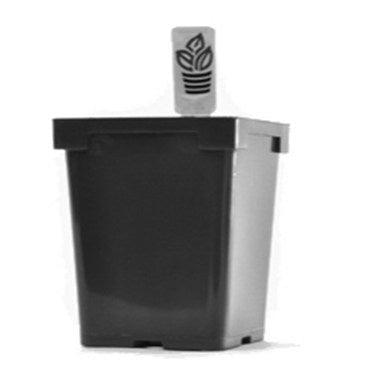 Jumbo JR Square Pot - 1.04 Liter (Case of 375)