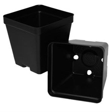 T.O. Plastics Square Pot