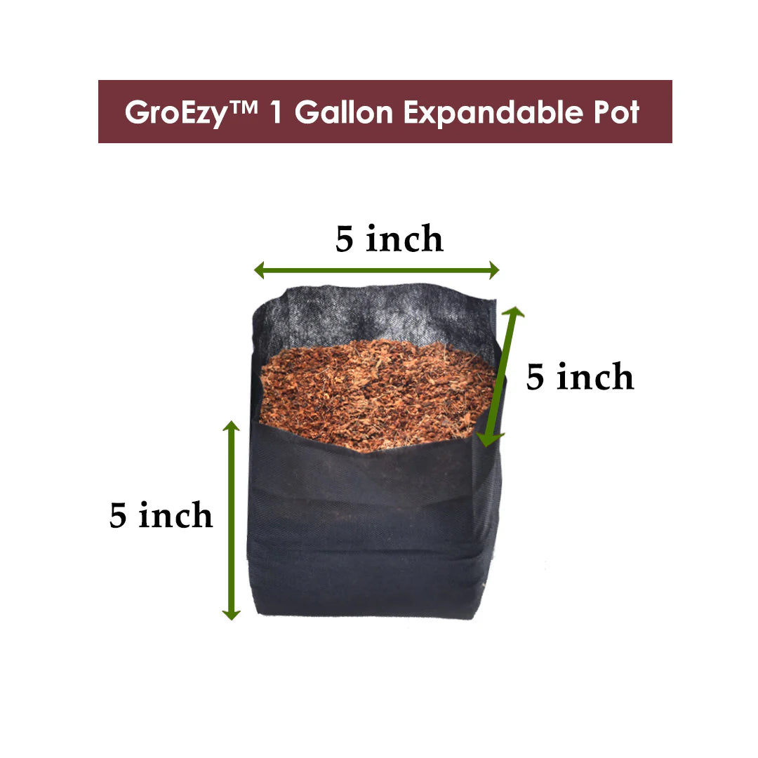 GroEzy Expandbale Pots - Straight Coco Blocks in Fabric Bags